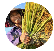 Trước đây tôi đã sử dụng rất nhiều loại thuốc bảo vệ thực vật
nhưng đất bị ảnh hưởng vô cùng