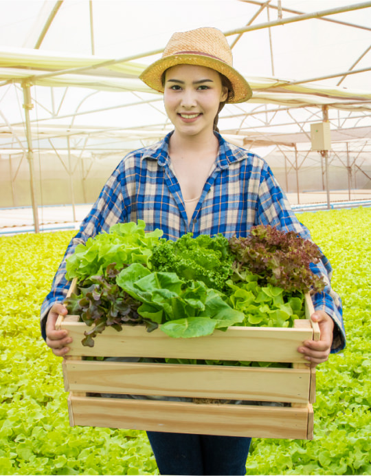 Vườn cây ăn trái Phúc Thiên